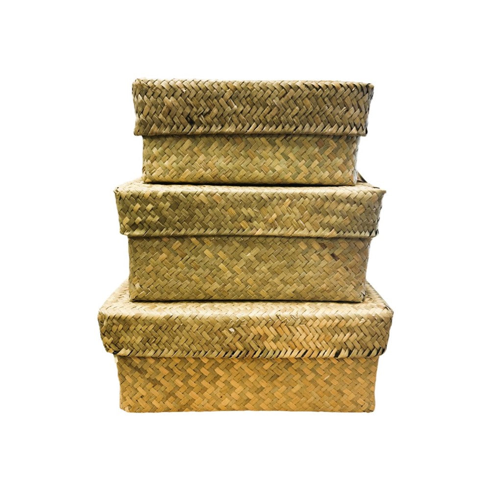Seagrass Box With Lid- Set Of 3
