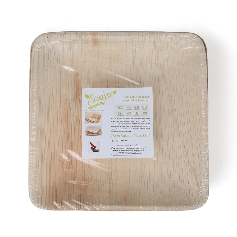 Palm Leaf Square Classic Plate 10pc/pk - 25cmx25cm