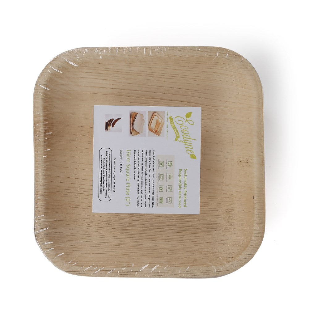 Palm Leaf Square Classic Plate 10pc/pk - 15cmx...