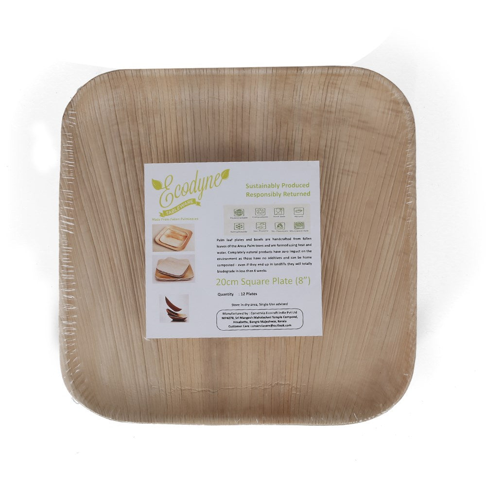 Palm Leaf Square Classic Plate 10pc/pk - 20cmx20cm