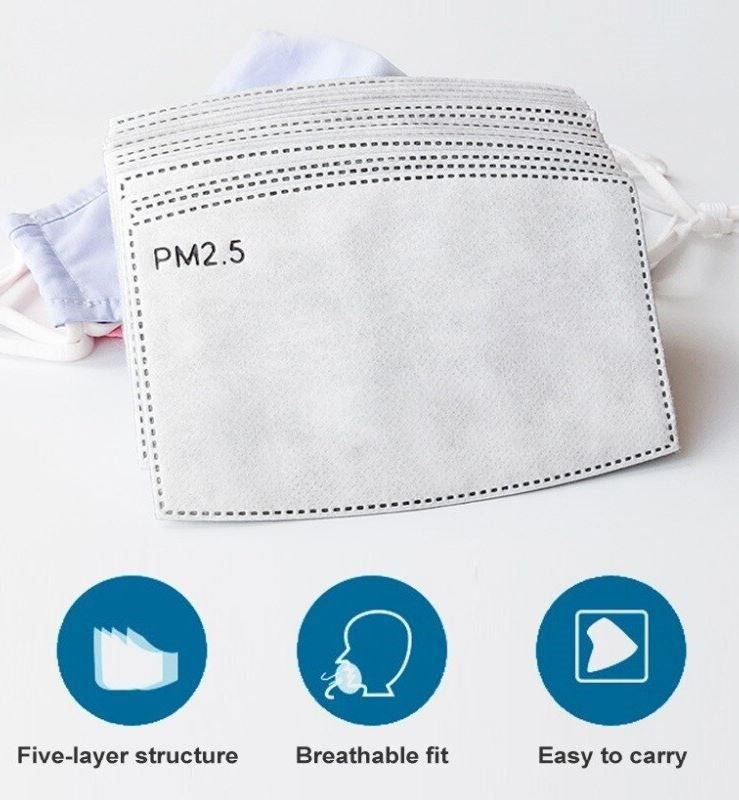 PM2.5 Filter for mask (2pc pack)