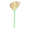 Broom(Plastic Handle)