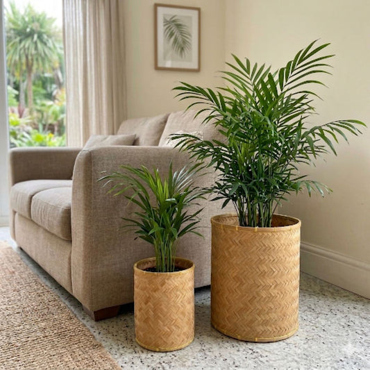 Bamboo Woven Basket/Bin - Small