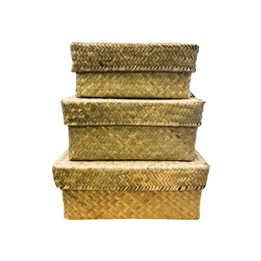Seagrass Box With Lid- Set Of 3