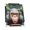 3D Wall Art Frame - Monkey