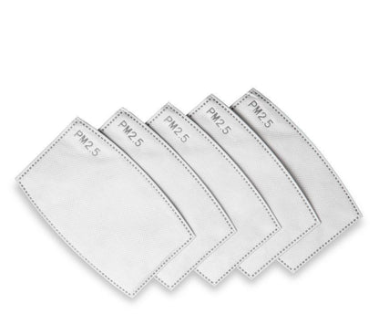 PM2.5 Filter for mask (2pc pack)
