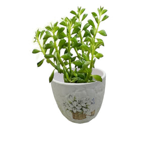 Ceramic Round Flower/Planter Pot - Flower
